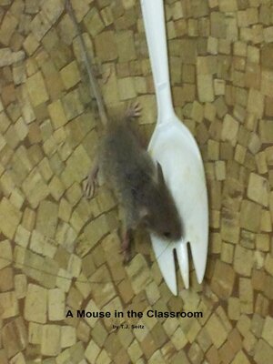 cover image of A Mouse in the Classroom